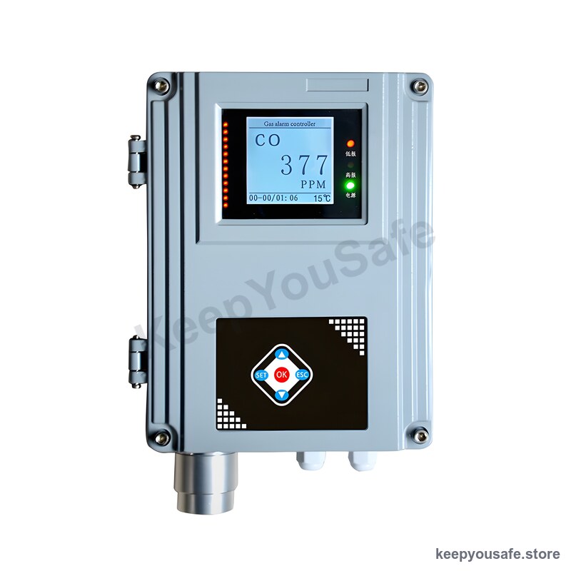 KeepYouSafe Fixed Natural Gas Detector (Wall-Mount)